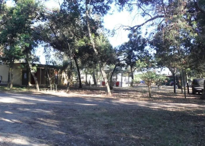 Avec Terrasse Proche Plage, 1 Chambre, 4 Pers. - Api-1-52-901 * Sorbo-Ocagnano